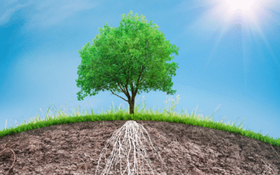 From Roots to Wisdom: Elevating Your Therapeutic Practice